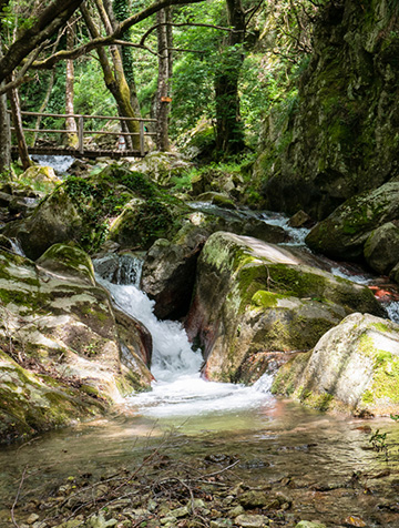 vacanza in Calabria "le Serre"