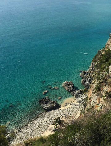 La riviera di Nausica 480x635