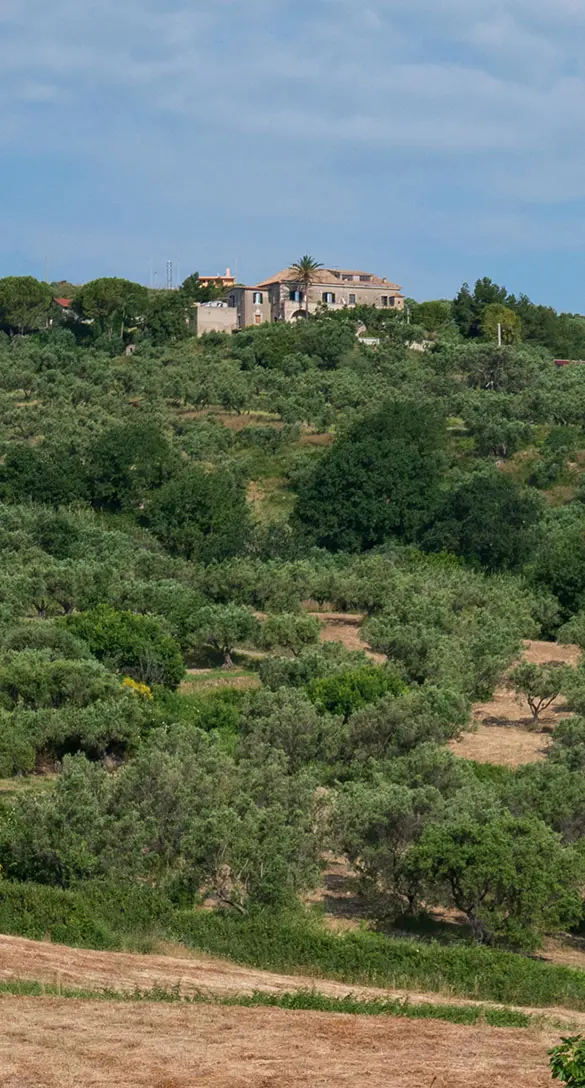 Azienda agrituristica Biologica